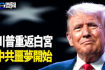 香港希望之聲