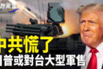 香港希望之聲