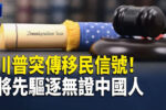 香港希望之聲