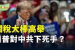 香港希望之聲
