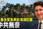香港希望之聲