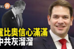 香港希望之聲 香港希望之聲