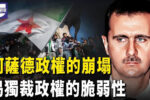 香港希望之聲 香港希望之聲