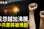 香港希望之聲