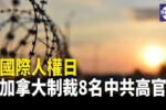 香港希望之聲 香港希望之聲