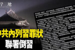 香港希望之聲