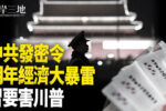 香港希望之聲 香港希望之聲