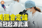香港希望之聲