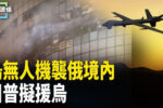 香港希望之聲