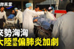 香港希望之聲 香港希望之聲