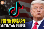 香港希望之聲