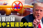 香港希望之聲 香港希望之聲