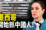香港希望之聲 香港希望之聲
