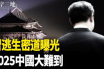 香港希望之聲 香港希望之聲