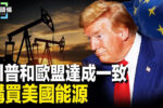 香港希望之聲