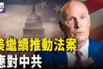 香港希望之聲