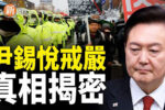 香港希望之聲