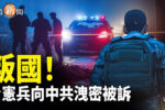 香港希望之聲