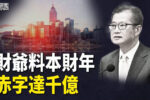 香港希望之聲