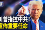 香港希望之聲 香港希望之聲
