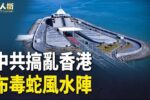 香港希望之聲 香港希望之聲