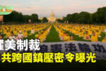 香港希望之聲