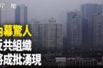 香港希望之聲 香港希望之聲
