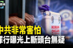 香港希望之聲