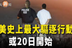香港希望之聲