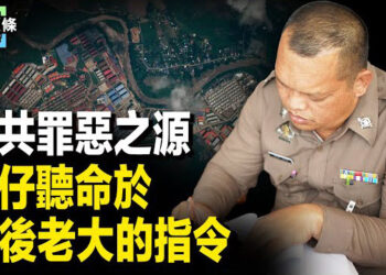 【今日頭條】王星疑遭泰國警方脅迫 逾萬SIM卡出關被曝；川普特使致力100天停戰 朝被俘士兵想留烏 主播：張恩