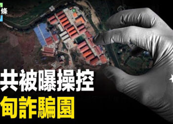 【今日頭條】台灣人赴泰失聯獲救 中共操控詐騙園野心被曝；胡錦濤要保胡春華 二十大被架離場原因？主播：張恩