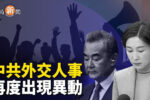 香港希望之聲