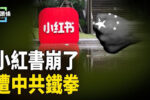 香港希望之聲