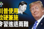 香港希望之聲