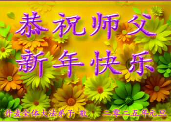 全世界大法弟子恭祝慈悲偉大的師尊新年快樂！