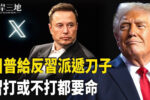 香港希望之聲