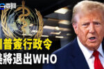 香港希望之聲 香港希望之聲