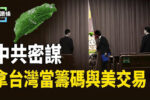 香港希望之聲 香港希望之聲