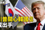 香港希望之聲 香港希望之聲