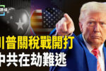 香港希望之聲 香港希望之聲