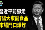 香港希望之聲 香港希望之聲