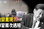 香港希望之聲