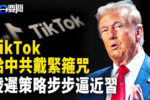 香港希望之聲 香港希望之聲