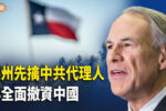 香港希望之聲 香港希望之聲