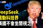 香港希望之聲 香港希望之聲