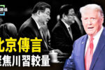香港希望之聲 香港希望之聲