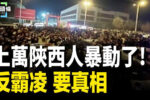香港希望之聲