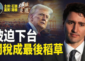 【頭頭是道】加拿大總理杜魯多辭職，會帶來什麼影響？加拿大會成為美國51州嗎？川普成為下一任總統得到官方最終確認.