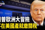 香港希望之聲 香港希望之聲