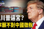 香港希望之聲